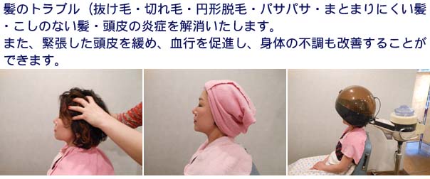 抜け毛・切れ毛・円形脱毛・パサパサ・
まとまりにくい髪・こしのない髪・頭皮の炎症を解消します。
●ヘアエステ 6,500円(約60分)
●クイックヘア 2,000円(約20分)